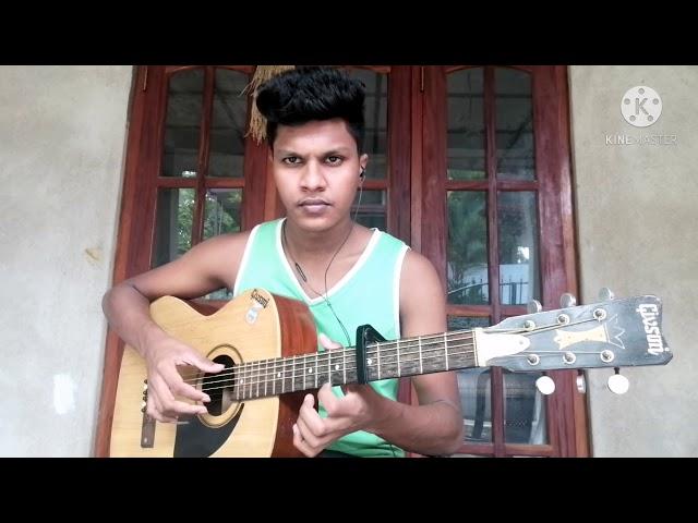 senorita guitar fingerstyle song