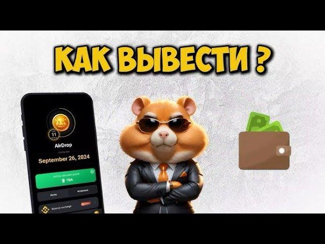 КАК ВЫВЕСТИ ДЕНЬГИ HAMSTER KOMBAT! ЕСЛИ НЕ УСПЕЛ ПРИВЯЗАТЬ КОШЕЛЕК, айрдроп