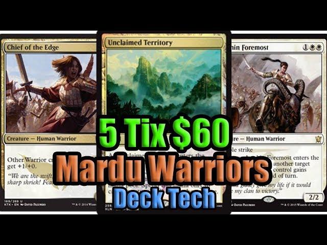 MTG Budget Modern Warriors Deck Tech