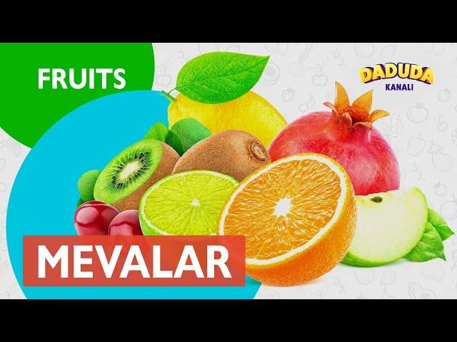 Mevalar- Fruits