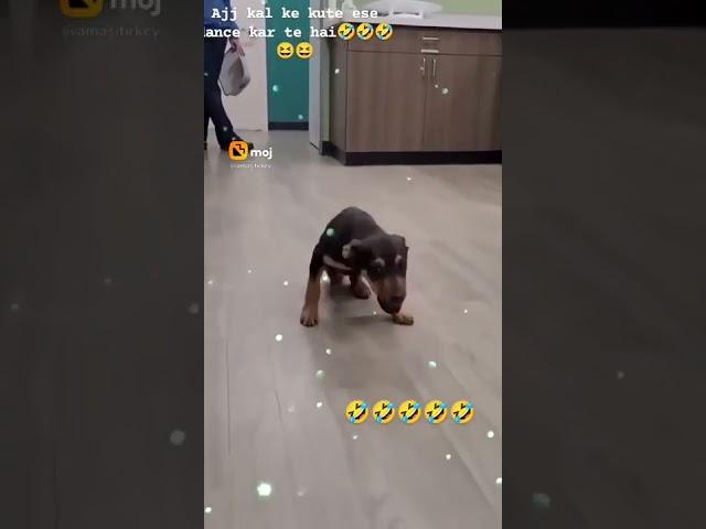 https://youtube.com/shorts/-WaeC7vcjdI?feature=share