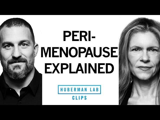 What Is Perimenopause? | Dr.Sara Gottfried & Dr. Andrew Huberman