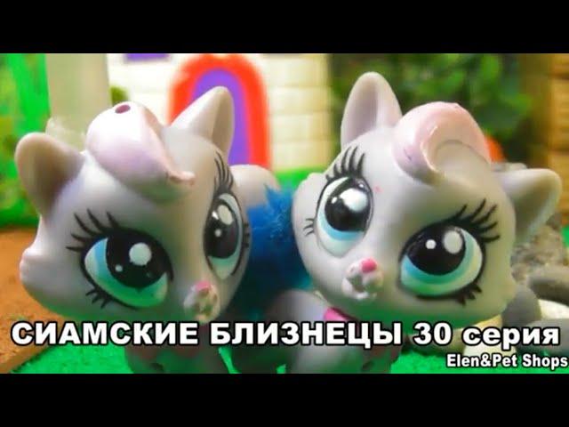LPS Сиамские близнецы 30 серия