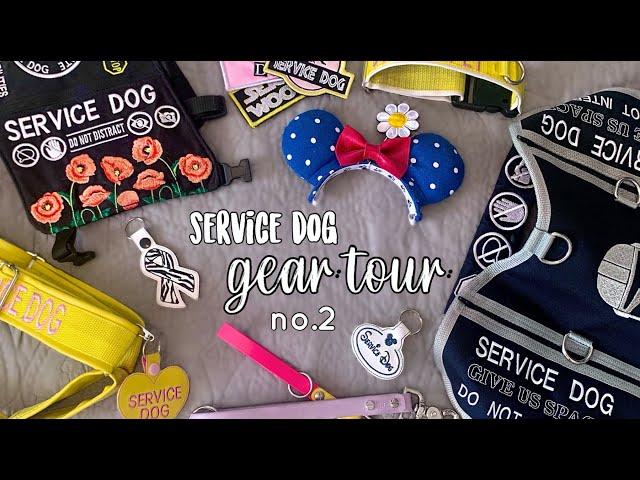 Service Dog Gear Tour | 2021 Updated