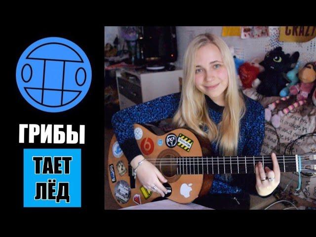 ГРИБЫ - Тает Лёд (acoustic cover, Асия) | Под гитару, между нами