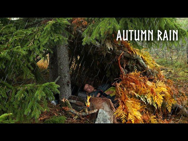 SOLO CAMPING in RAINBuilding my Bushcraft Survival Shelter: Rain & Fire ASMR