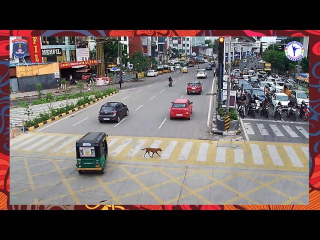 Dog's quick learning | Cyberabad Traffic Police | Pedestrian Safety