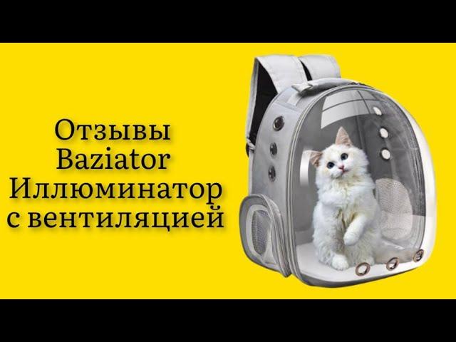 Стоит ли покупать рюкзак для кошек и собак Baziator с вентиляцией для воздуха 18x31x42см отзывы