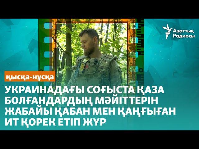 Украинадағы соғыста қаза болғандардың мәйіттерін жабайы қабан мен қаңғыған ит қорек етіп жүр