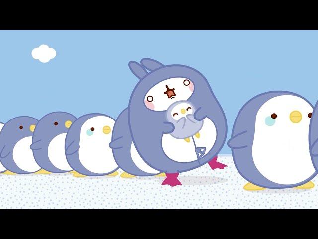 Molang - The Penguin  Compilation For Kids