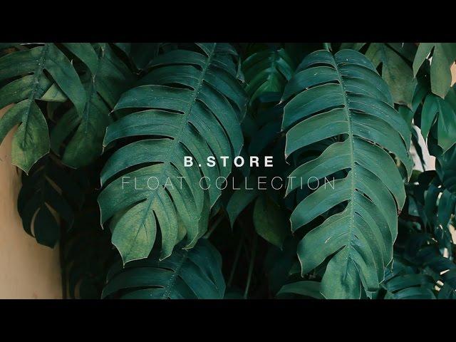 B.STORE FLOAT COLLECTION