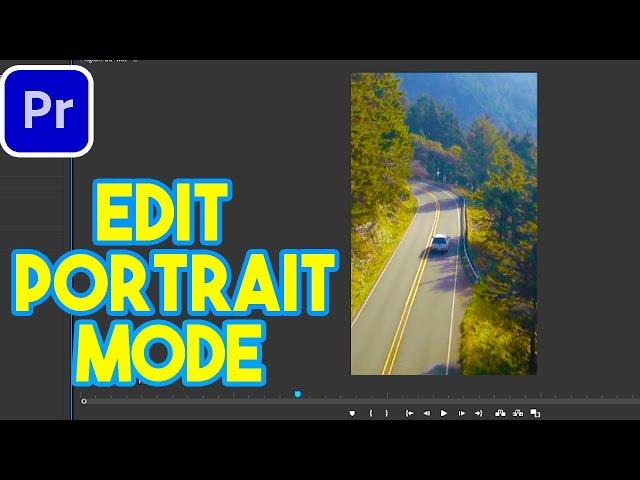 How To Edit In Portrait Mode In Adobe Premiere Pro