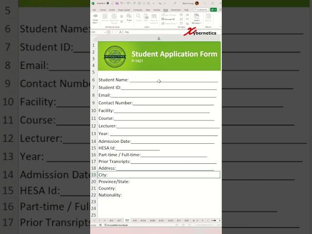 Create a Fillable Field with Underline In Excel - Excel Tips and Tricks