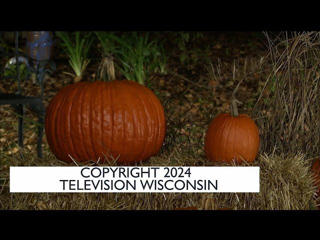 News 3 Now at Five: November 12, 2024