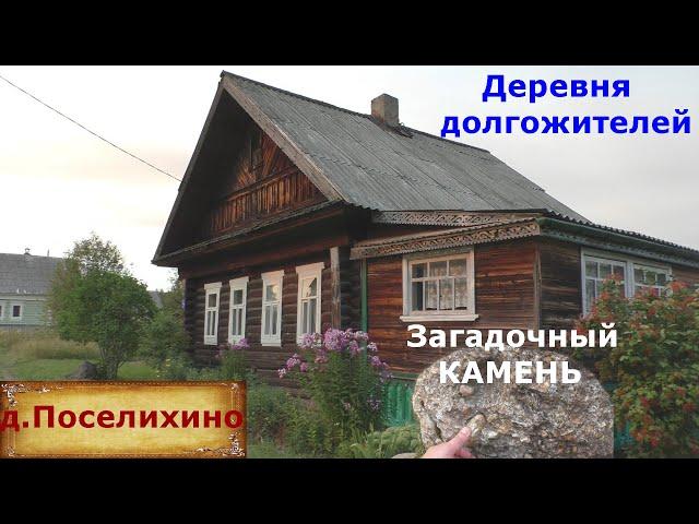 Дом на продажу за 450 тысяч. Удивительная деревня долгожителей. Загадочный камень. Деревня в лесах