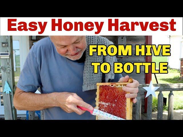 Beekeeping TIPS On Easiest Way To Harvest Honey