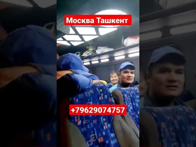 Россия Узбекистан такси #shorts #uzb #uzbektiktok #qiziq #узбекистан #узбекшоубизнес #долзарб