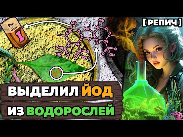  Откуда в ВОДОРОСЛЯХ ЙОД? | Химия МОРСКОЙ капусты | Химбио блог №23 [Репич]