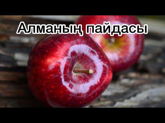 Алма. Алманың пайдасы. Пайдалы ақпарат.