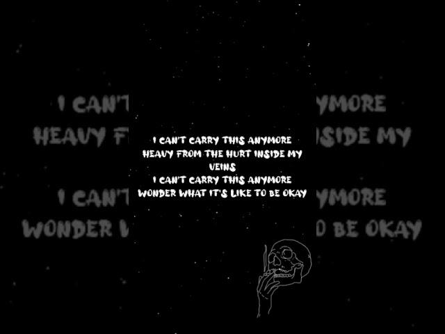 Anson Seabra - I can't carry this anymore (Lyrics)