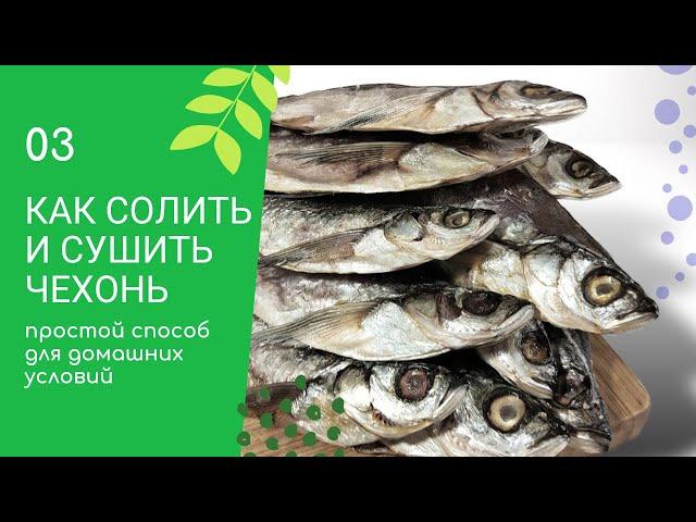 Как правильно СОЛИТЬ и СУШИТЬ чехонь в домашних условиях