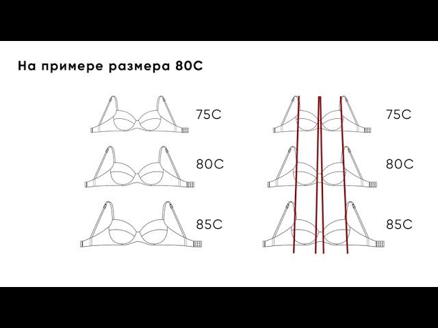 ПРИНЦИП ПОДБОРА РАЗМЕРА БЮСТГАЛЬТЕРА ФЛОРАНЖ +996772344070