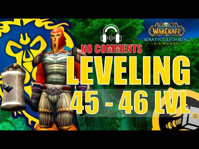 WOTLK Leveling Alliance Guide (Paladin) [45-46] One hour preparation WoW [4K,ASMR]