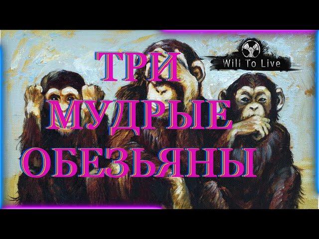 Will To Live online Квест: "Три мудрых обезьяны"