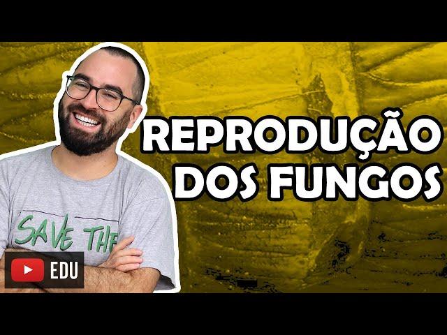 Reprodução dos Fungos - Aula 11 - Módulo IV: Microbiologia, Fungos e Protistas | Prof Gui