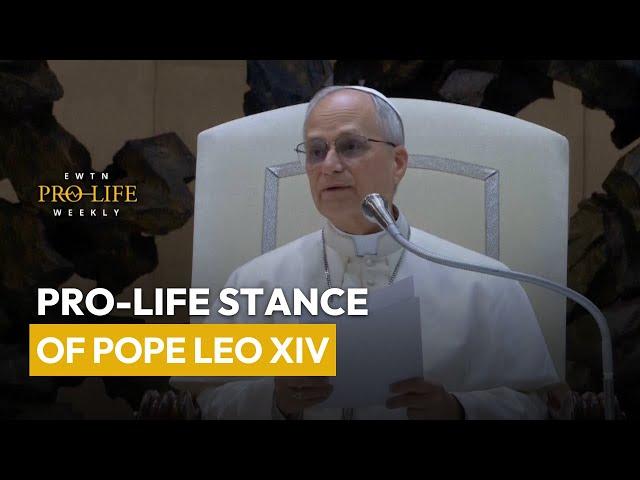 Pro-Life Stance of Pope Leo XIV