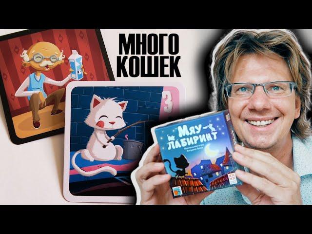 МЯУ-ЛАБИРИНТ  Помоги бездомным кошкам найти Дом! Каждая кошка со своим характером!