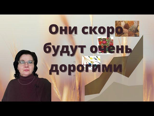 Продукты и товары, которые могут оказаться дороже золота.