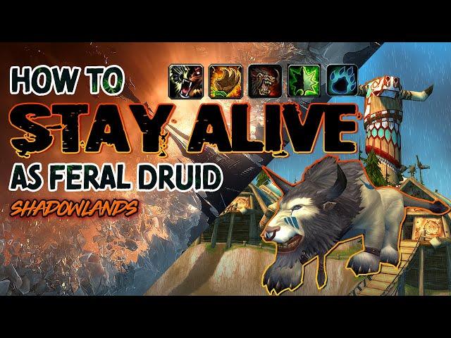 How to STAY ALIVE | Feral Druid Guide | Shadowlands PVP