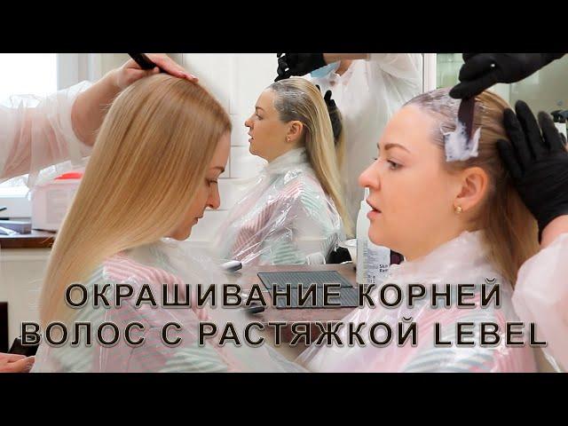 Radical hair coloring Lebel Japanese paint in Moscow - Beauty Salon Wella Eliza