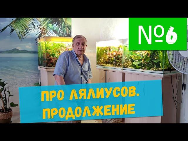 #6 Про лялиусов. Продолжение  / Аквариумистика с Геннадием Посейдонычем