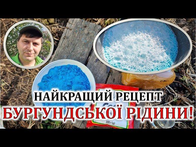 Перша обробка саду: рецепт Бургундської рідини!