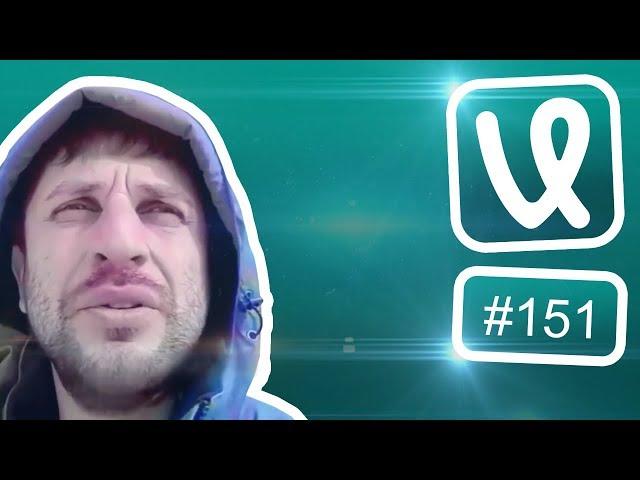 Лучшие ролики недели #151 Яжемать!