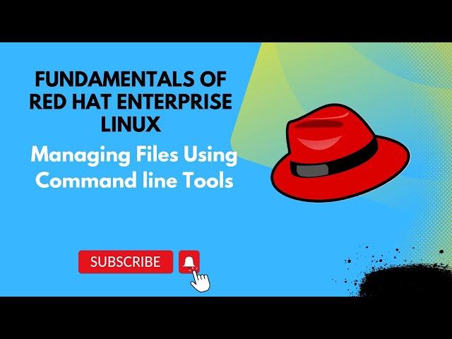 Managing Files Using Command line Tools || Fundamentals of Red Hat Enterprise Linux