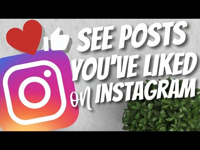 How to see posts you liked on Instagram - Android