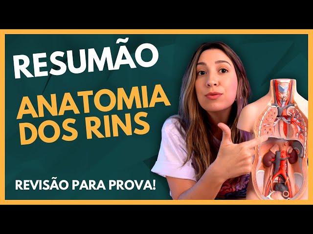 Resumão: ANATOMIA DOS RINS