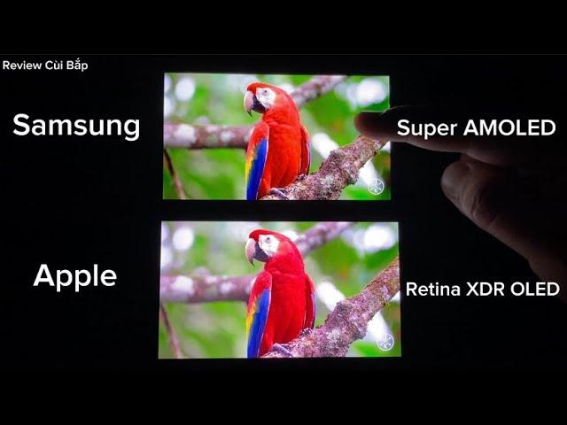 Apple Retina XDR OLED vs SAMSUNG Super AMOLED display Comparison in 2023