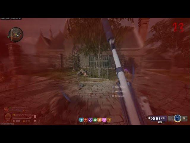 BO6 Mystic Gold Gun #13