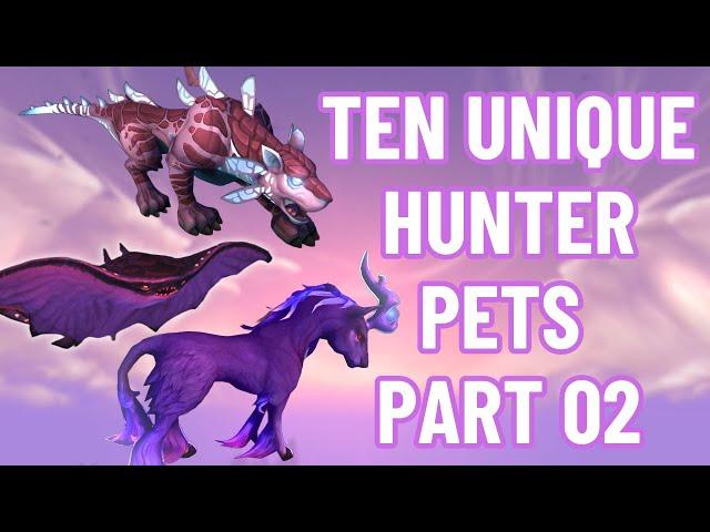 10 Unique Hunter Pet Tames | 4k World of Warcraft | Dragonflight