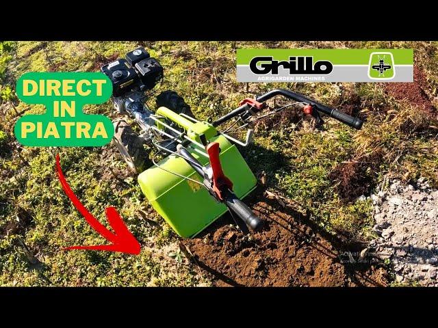 Motocultor Grillo - freza cu actionare inversa (dublu sens)