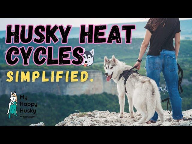 The Only Video You Need to Understand Husky Heat Cycles