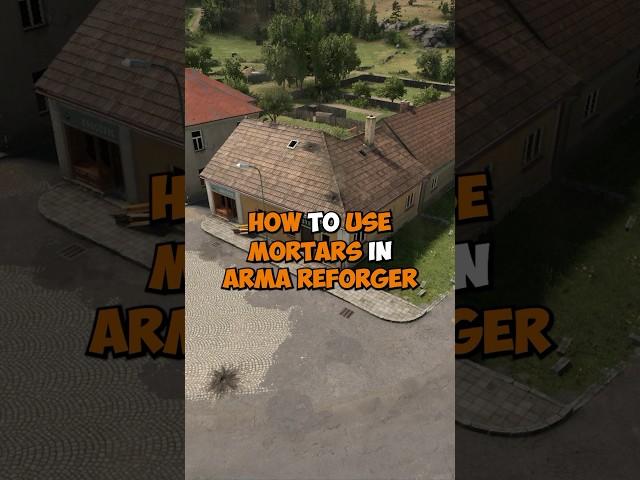 EVERYTHING you NEED to KNOW