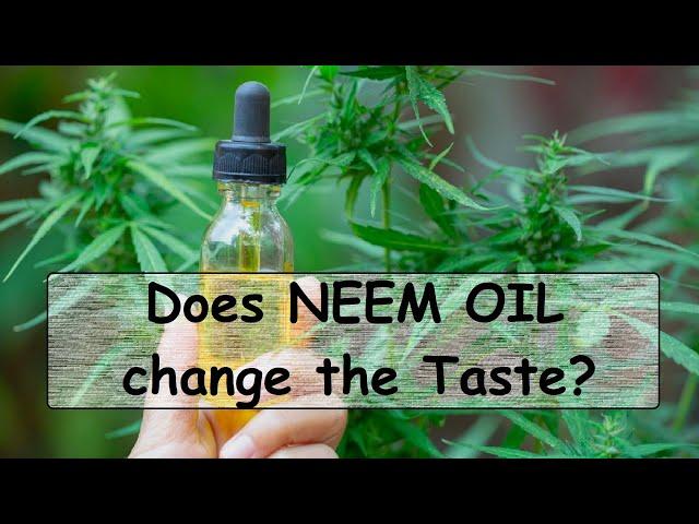 Neem Oil: How & When To Apply