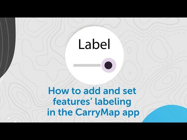 How to add and set features’ labeling in the CarryMap app