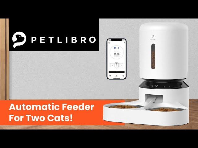 Petlibro Automatic Feeder for two cats - Feeder For Multiple Cats