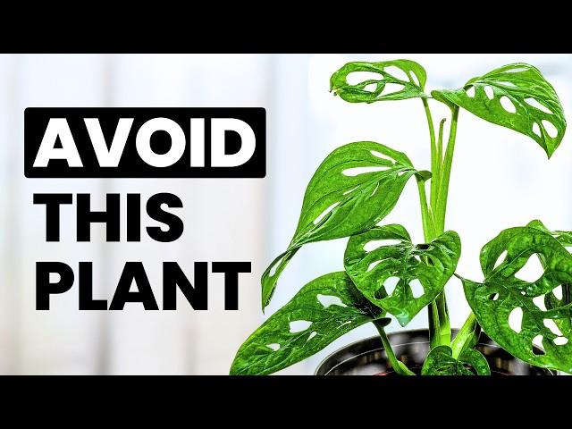 10 "Easy Care" Plants You’ll Regret Buying